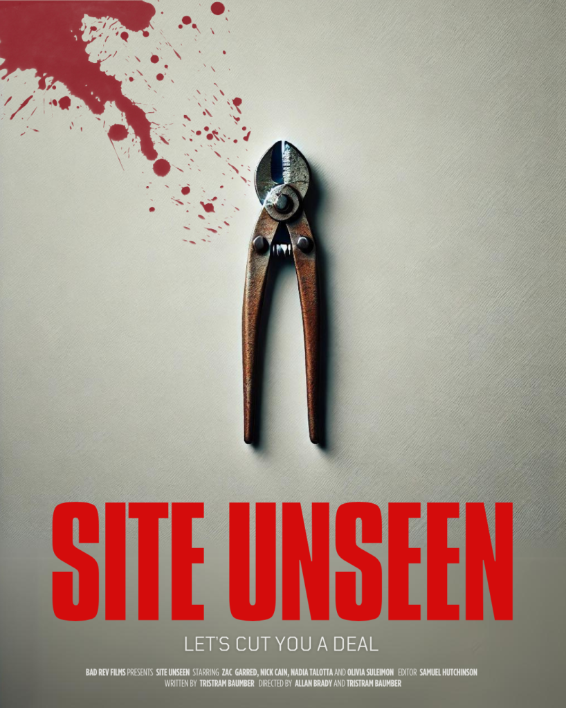 SITE UNSEEN Teaser Poster